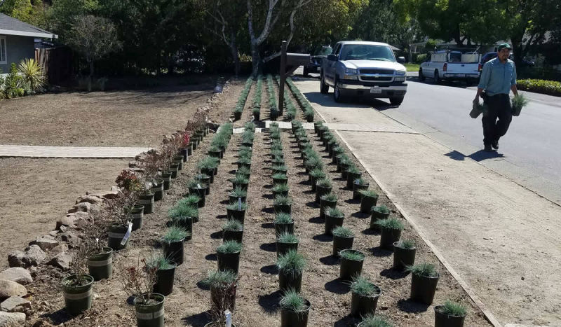 Services - Full Gardening Services in San Mateo - Landscaping Specialist